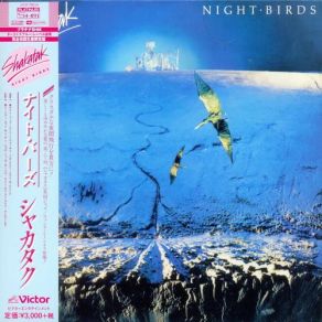 Night Birds album cover