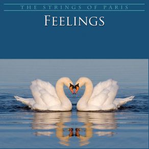Feelings album cover
