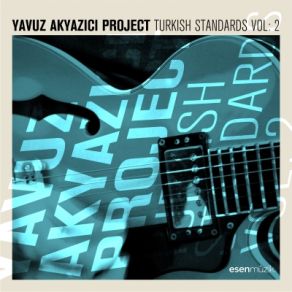 Turkish Standards Volume 2 album cover