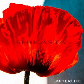 Shikata album cover