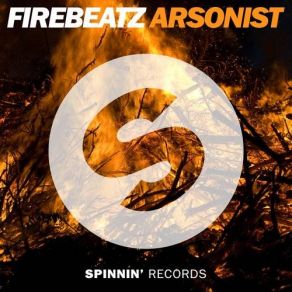 Arsonist (Single) album cover