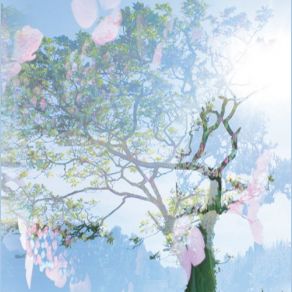 Autumn Light album cover