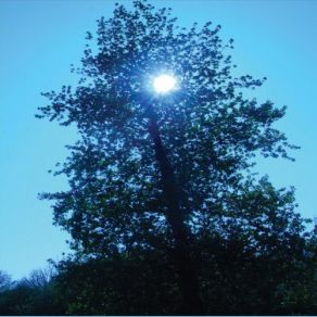 Winter Light (Long Single Mix) album cover