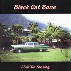 Livin' On The Hog album cover