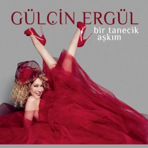 Bir Tanecik Aşkım album cover