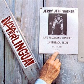 Viva Terlingua! album cover