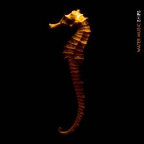 Ships album cover