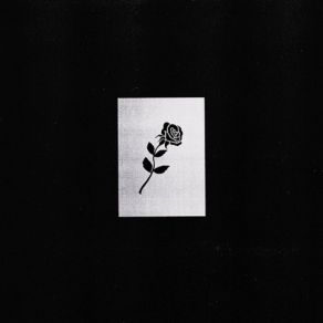 Shlohmo album cover