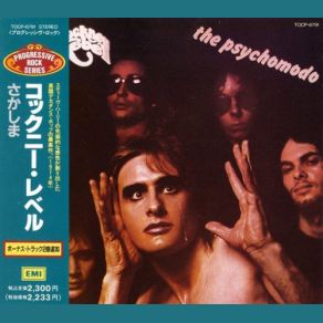 The Psychomodo album cover