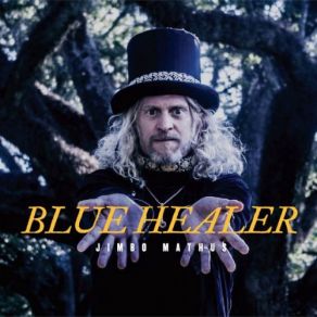 Blue Healer album cover