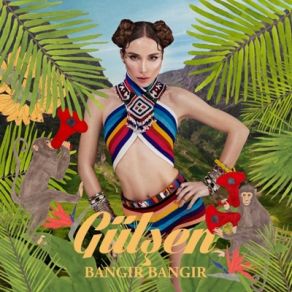 Bangır Bangır album cover