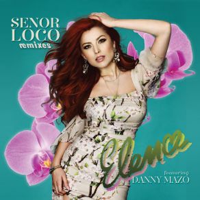 Señor Loco (Remixes) album cover