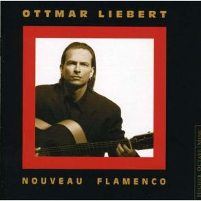 Nouveau Flamenco album cover