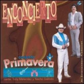 Meros Perrones En Vivo album cover
