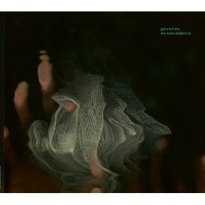 Sen Balık Değilsin Ki album cover