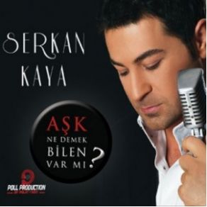 Aşk Ne Demek Bilen Var Mı?  album cover