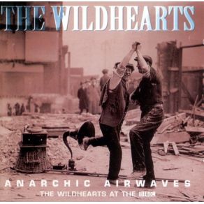Anarchic Airwaves album cover