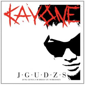 J. G. U. D. Z. S (Jung Genug Um Drauf Zu Scheissen) album cover