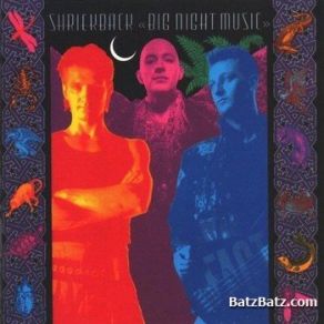 Big Night Music album cover
