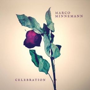 Celebration album cover