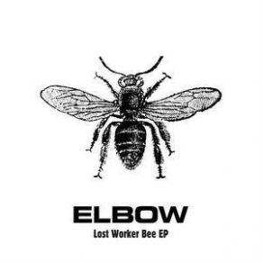 Lost Worker Bee album cover