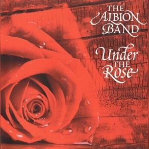Under The Rose album cover