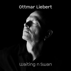 Waiting N Swan album cover