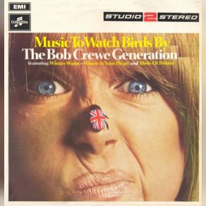 Music To Watch Birds By album cover