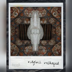 Nagini Reshaped album cover