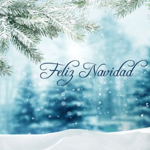 Feliz Navidad - Musica De Navidad Y Villancicos Para Noche De Navidad album cover