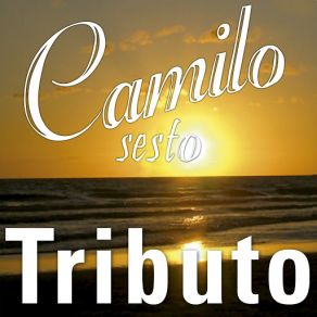 Tributo A Camilo Sesto album cover