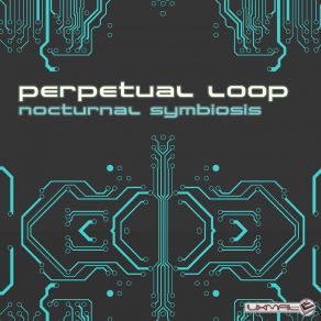 Nocturnal Symbiosis album cover