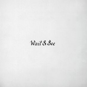 Wait & See album cover