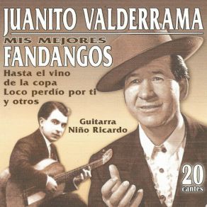Mis Mejores Fandangos album cover