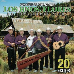 20 Exitos album cover