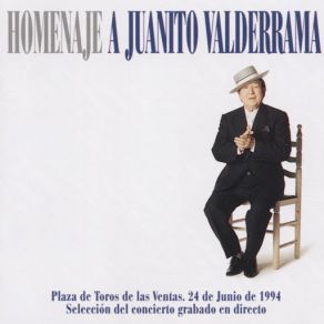 Homenaje A Juanito Valderrama album cover