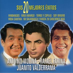 Sus 20 Mejores Éxitos album cover