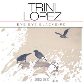 Bye Bye Blackbird album cover
