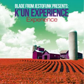 Experience album cover