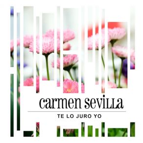 Te Lo Juro Yo album cover