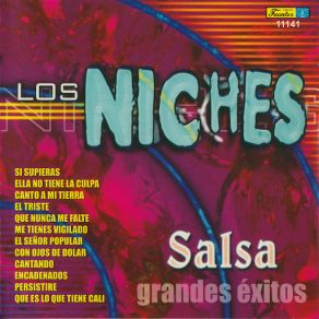 Salsa Grandes Exitos album cover