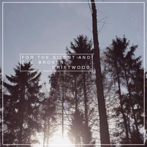 For The Silent And The Broken album cover