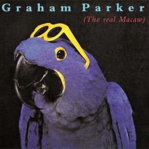 The Real Macaw (Rem.) album cover