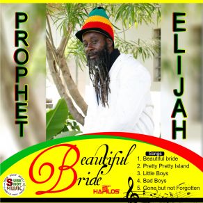 Beautiful Bride album cover