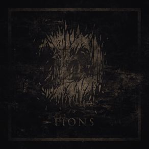 Lions album cover