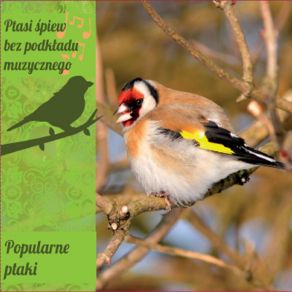Popularne Ptaki album cover