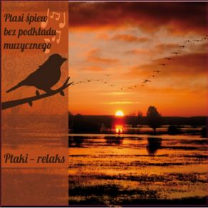 Ptaki - Relaks album cover