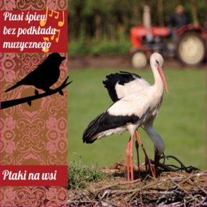 Ptaki Na Wsi album cover
