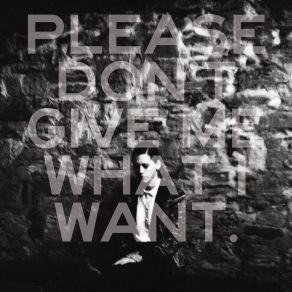 Please Dont Give Me What I Want album cover