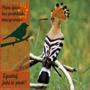 Zgadnij Jaki To Ptak album cover